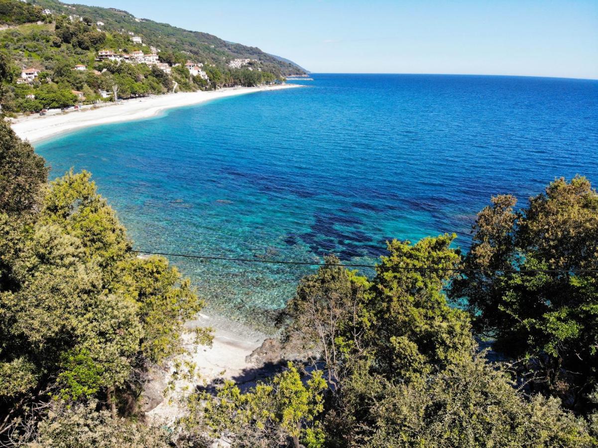 Pelion Bnb Luxury Homes Damouchari Eksteriør billede