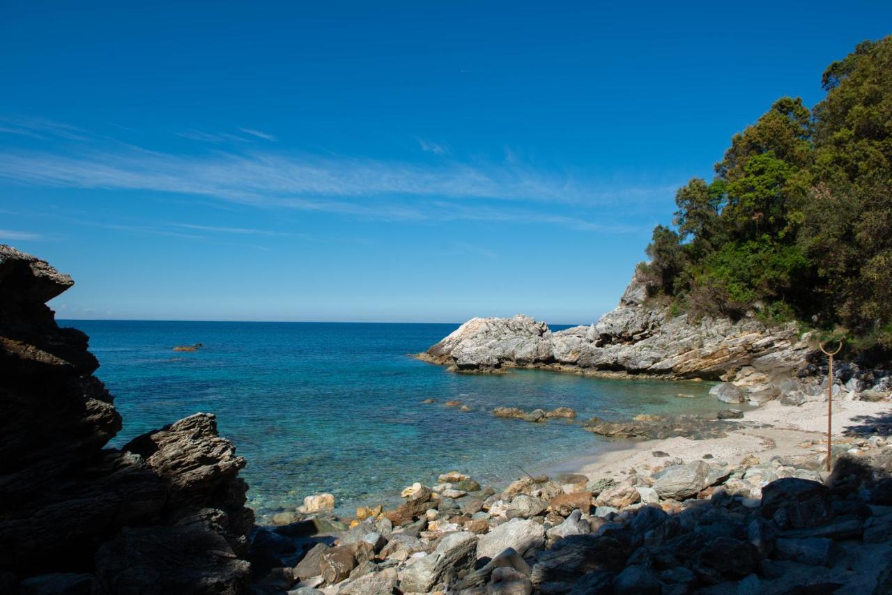Pelion Bnb Luxury Homes Damouchari Eksteriør billede