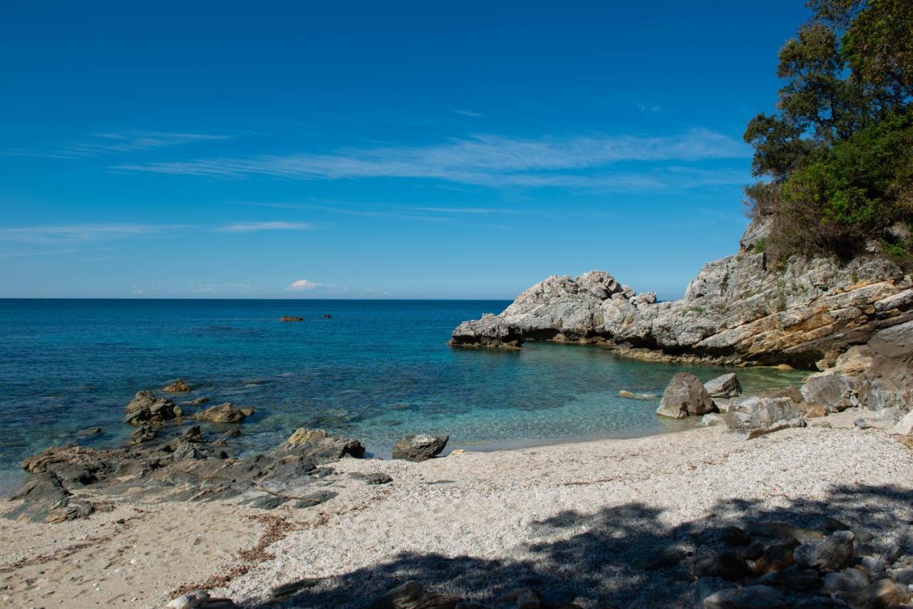 Pelion Bnb Luxury Homes Damouchari Eksteriør billede