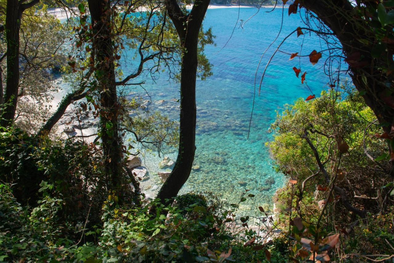 Pelion Bnb Luxury Homes Damouchari Eksteriør billede