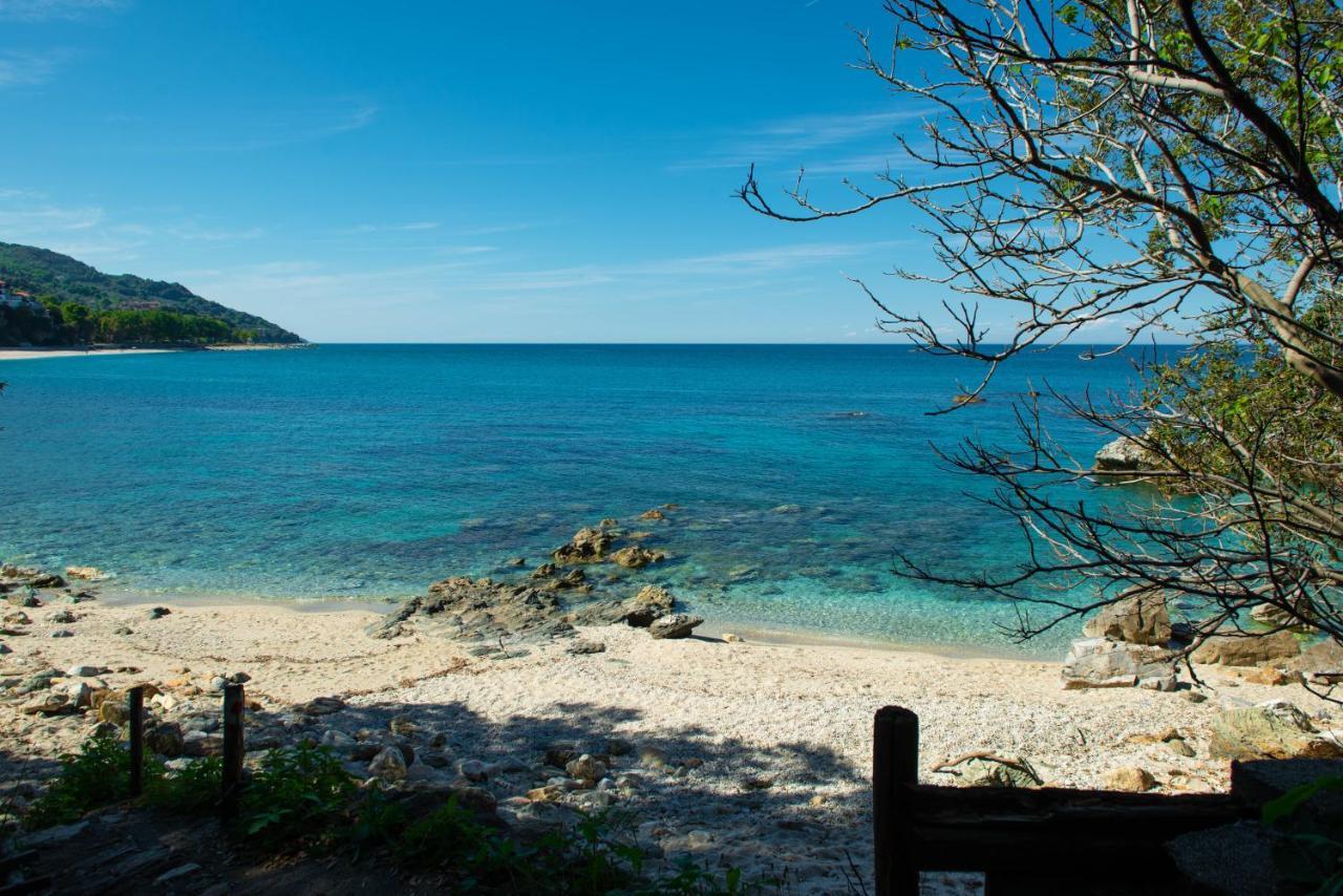 Pelion Bnb Luxury Homes Damouchari Eksteriør billede